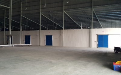 KHO LẠNH LỨC TIẾP CHỨA THANH LONG - 500 TẤN